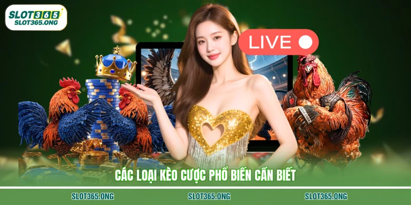 Các loại kèo cược phổ biến cần biết