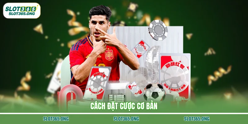 Cách đặt cược cơ bản