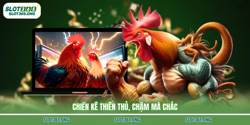 Chiến kê thiên thủ, chậm mà chắc