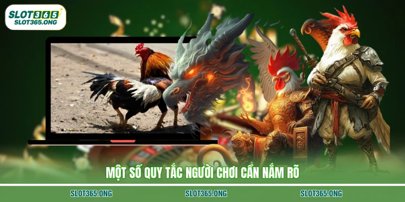 Một số quy tắc người chơi cần nắm rõ