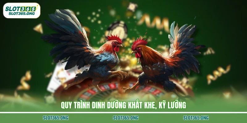 Quy trình dinh dưỡng khắt khe, kỹ lưỡng